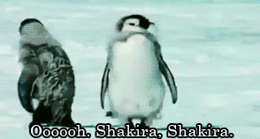 penguins-have-knees:   blackistheonlycolor:  hahaha  This is the best gif in the world. 