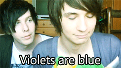 hellaacappella:  berries-and-bubbles:amazingemmaisonfire:infinite-waffles:fuckthepj: