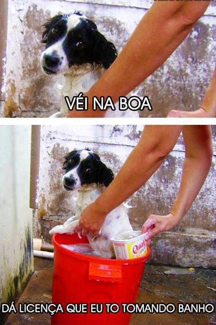 diário de um retardado