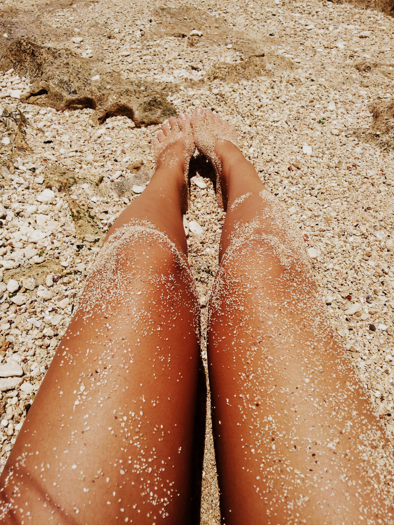 sandy-starfiish:  summer blog here 