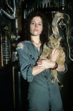 thatmotherfuckingcat:  Best female character in any movie ever.