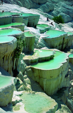 ninbra:   Natural rock pools, Pamukkale, Turkey.  