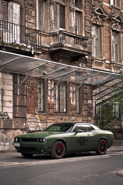 automotivated:  Dodge Challenger (by pskrzypczynski)