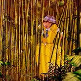 “ A whole new world , A new fantastic point of view..No one to tell us no Or where to go Or say we’r