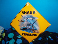 shaaarks:  shaaarks:  I’ve been wanting to do a giveaway for my followers for awhile now, but I wasn’t able to afford it nor did I really know what to get, but tides are-a changin’ and here we are! Today I’m giving away an aluminum “Shark Crossing”