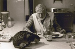 writersandkitties:  Dinner time for Hemingway