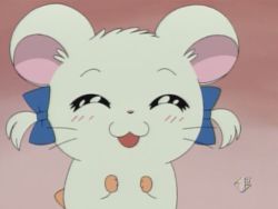 Fyeahcontroversialcharacters:  Character: Bijou (Ribbon-Chan) Fandom: Hamtaro (Tottoko