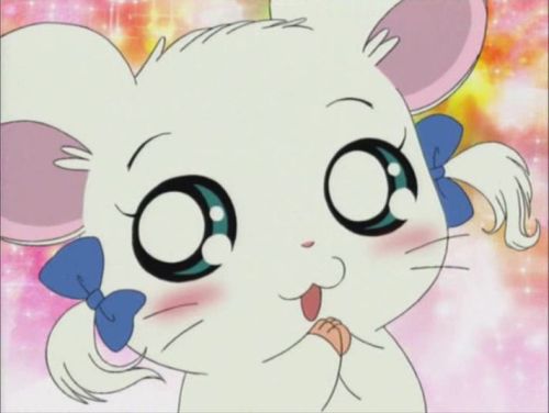 fyeahcontroversialcharacters:  Character: Bijou (Ribbon-chan) Fandom: Hamtaro (Tottoko Hamutaro) Reason for Being Hated: ‘Slut’ because she doesn’t love Boss and only sees him as a big brother, loves Hamtaro, isn’t Sparkle, her wwner is rich,