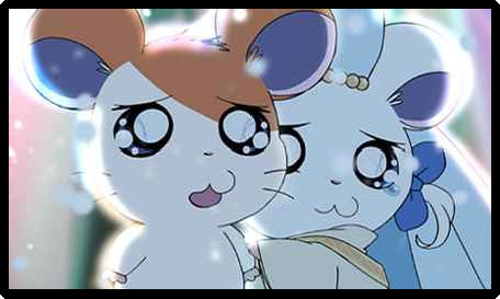 fyeahcontroversialcharacters:  Character: Bijou (Ribbon-chan) Fandom: Hamtaro (Tottoko