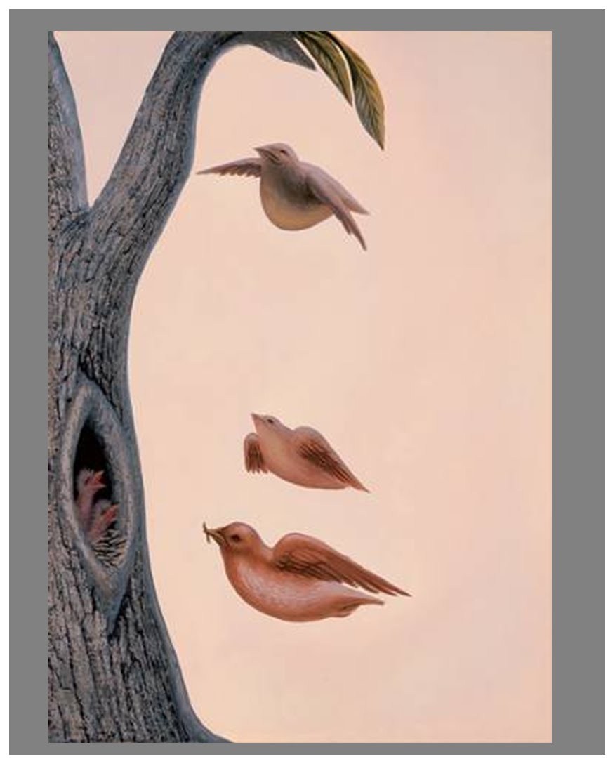toomuchart:
“ Octavio Ocampo, Family of Birds, n.d.
”