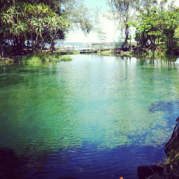 Sunny day, Beach &lt;3 (Taken with instagram)