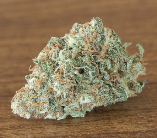 terpsincluded:  Dream Queen Organic T5 Grow