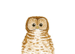 1000drawings:  by Jessica Gardner 