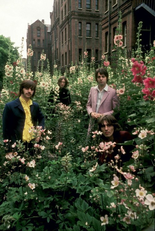 givemeaburger:Beatles in Hollyhock