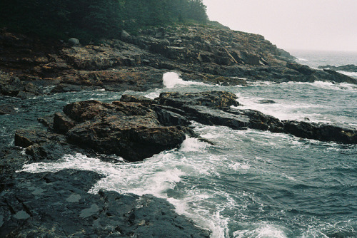 amor-vincit-0mnia:  untitled by mgsss on Flickr. 