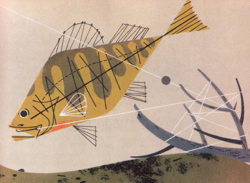 Ford Treasury of the Outdoors 1952Illustrated by Charles Harper
