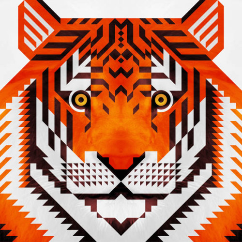 jevajeva:triangle tiger 2nd version