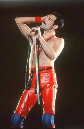 freddiemercurysluscioustits:He looks like he’s posing for a hair commercial :P