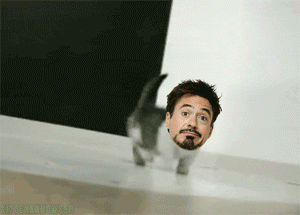 rachaelmakesshirts:  i-m-urs:  KITTY Jr  I have lost my ability to can. 