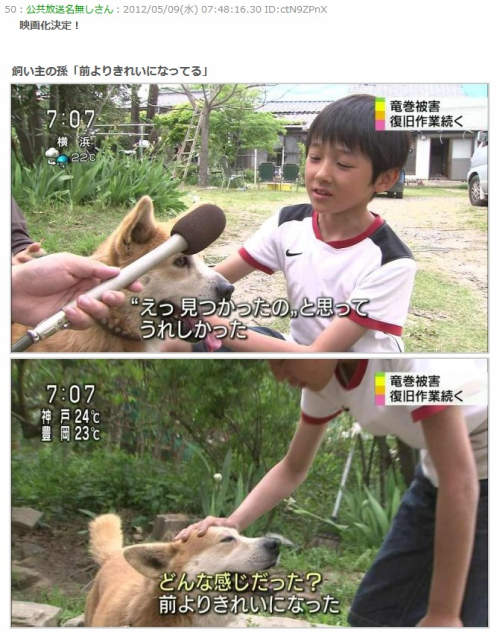 Extra Notes 竜巻に吹き飛ばされ行方不明だった犬の ワン太郎 無事戻る Extra Notes 竜巻に吹き飛ばされ行方不明だった犬の ワン太郎 無事戻る