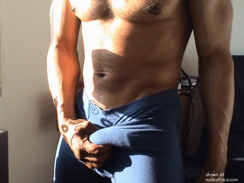 woof woof 