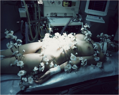 WE ARE SPIRITUAL BEINGS HAVING A HUMAN EXPERIENCE