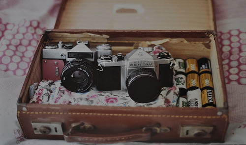 floralibus:  (by Sofi Anne) 