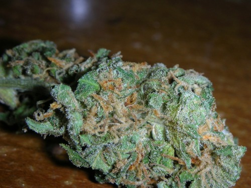 Innocent Stoner
