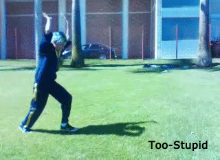 Too-Stupid