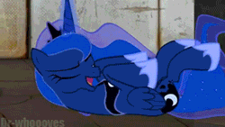 mellydash:  And here we see the majestic horse.  Notice it’s divine intelligence.  
