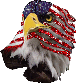 hey-lauren:  americans we have problems too we’re just like you except we’re