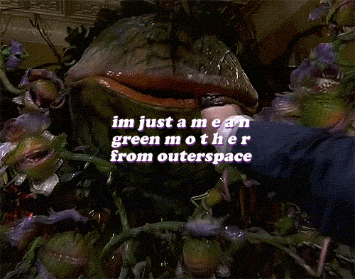 Mushnik's Florist