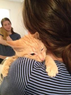 sarawildish:  glampora:  leanonstephen:  cat-pictures-blog:  The face your kitten makes after you rescue him from an alley downtown.  #I HAVE WAy MORE FEELINGS ABOUT THIS CAT THAN I DO THE TITANIC OR THE NOTEBOOK OR THAT BULLSHIT  I’m gonna cry now