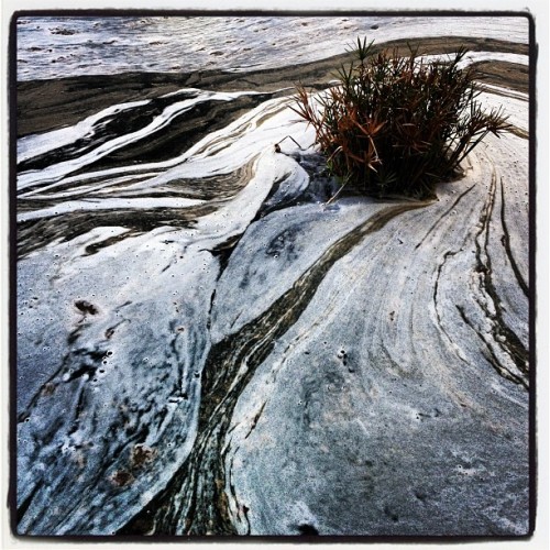 Still waters in Dubai media city. Ugh. (Taken with instagram)