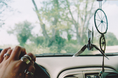 floralibus:  (by nicole tierney.) 