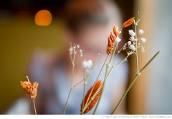 justin-n-lane:  dinner with Brooke at f1.4 