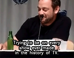 celestialcow:  How to Succeed: the Mark Sheppard story 