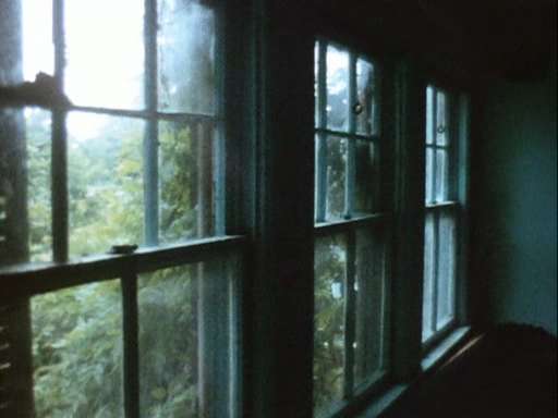 Albert Maysles and David Maysles, Grey Gardens, 1975. 