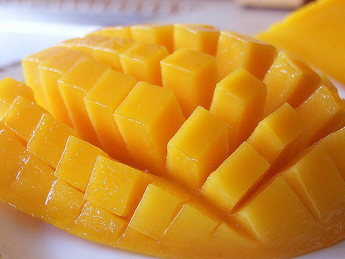 food photographs