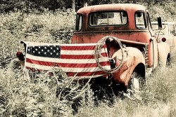 passionoverreason:  America, Nature, Trucks. 