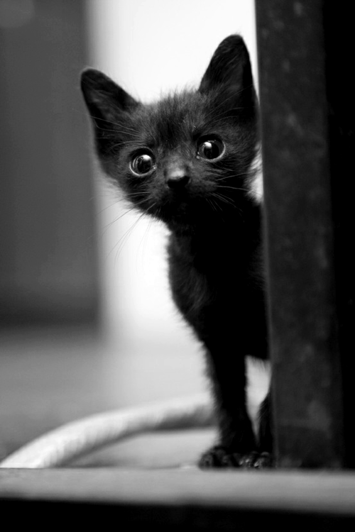 What a cutie