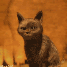 Aquele momento que alguém responde a professora: