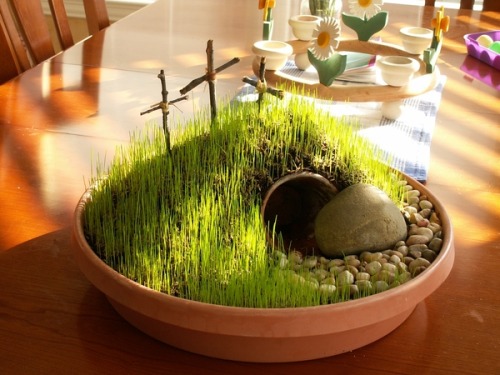 craftdiscoveries:  (via DIY Mini Resurrection Garden — We are THAT Family)