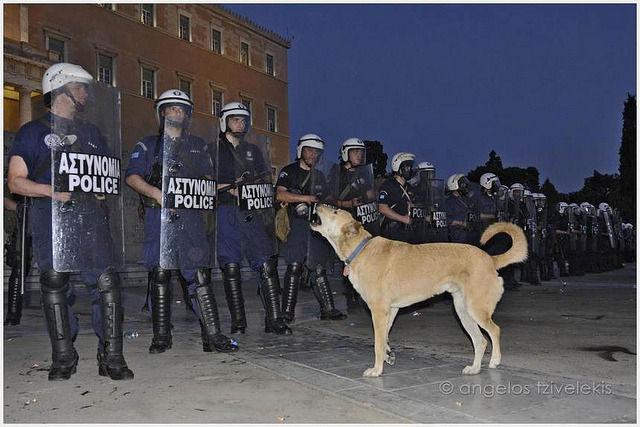 mecagaron:  No faltan los perros :,) 