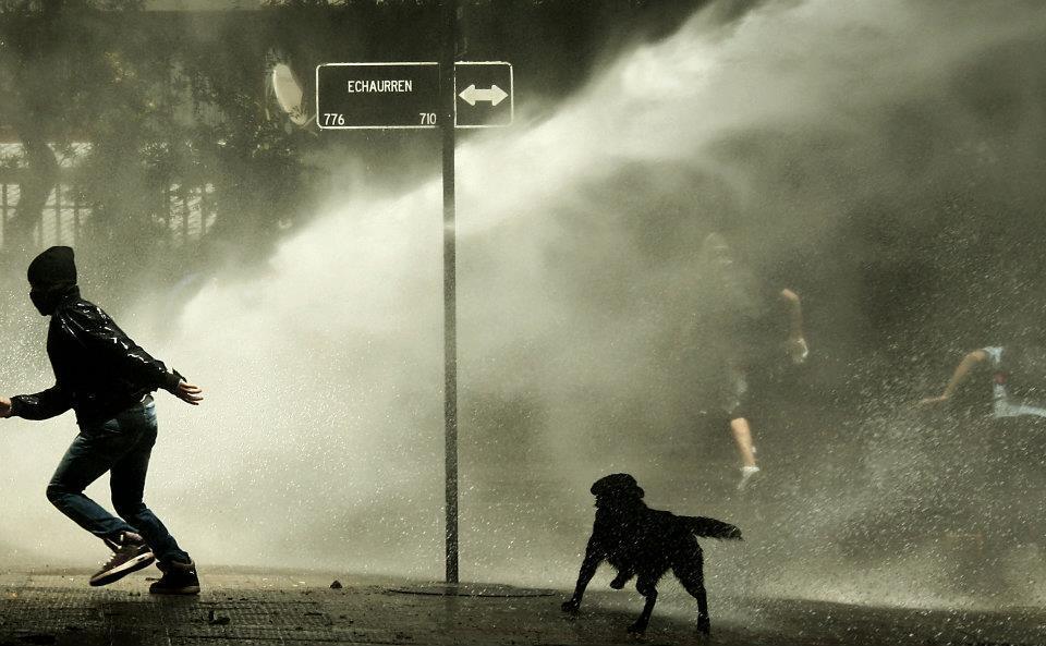 mecagaron:  No faltan los perros :,) 