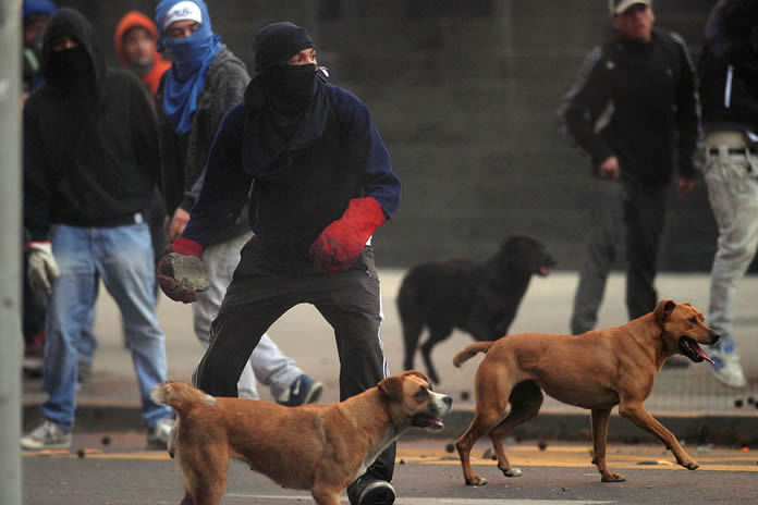 mecagaron:  No faltan los perros :,) 