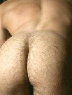 fhabhotdamncobs:  guysthatgetmehard:  fuzzy butt    W♂♂F     (WARNING!   Not the place for “Pretty Boys” or their fans)  