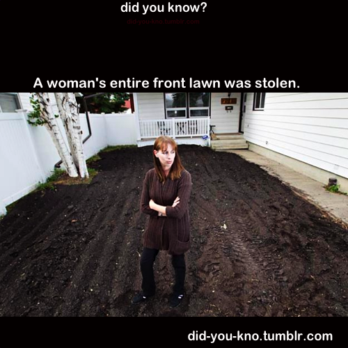 did-you-kno:  Denise Thompson had a beautiful front lawn, thick and green. It was