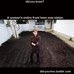 did-you-kno:  Denise Thompson had a beautiful front lawn, thick and green. It was where her four children and two dogs played, and where she drank coffee on sunny mornings. Then someone stole it. Source 