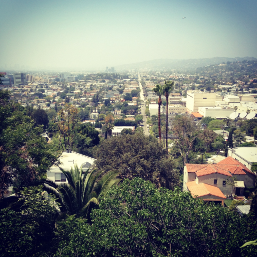The view from my advisor’s house in Los Feliz